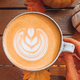 Pumpkin Spice Essentials | Amazon